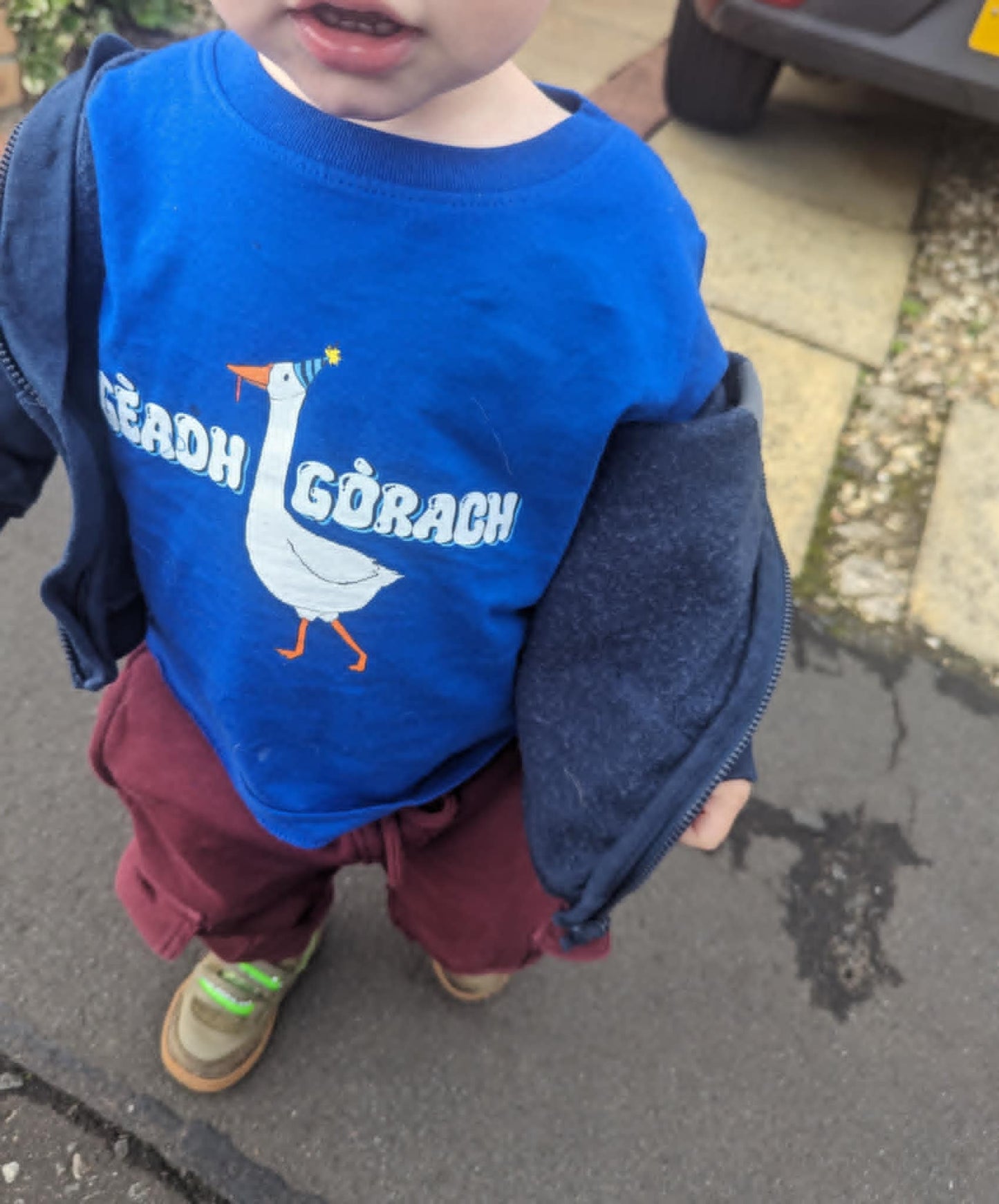 Gèadh gòrach - Baby jersey t-shirt